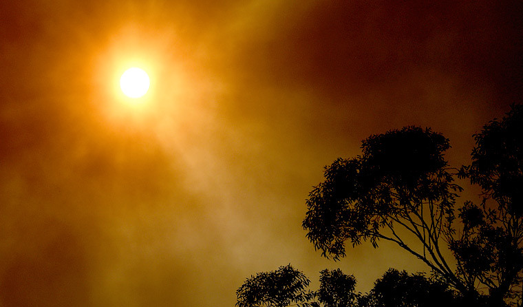 Effects of bushfire smoke